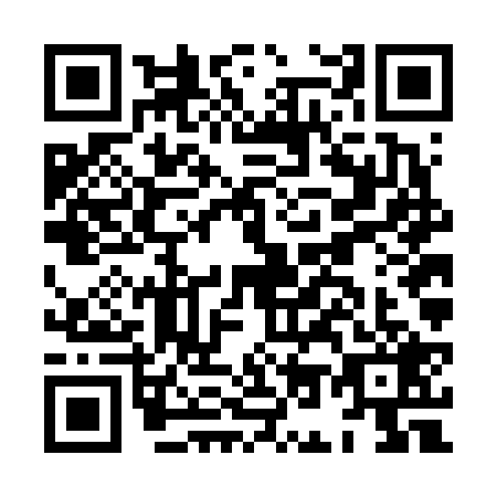 QR code for HO6-F295