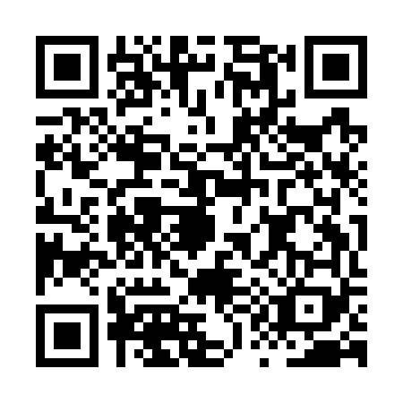 QR code for plate HQ9-G695