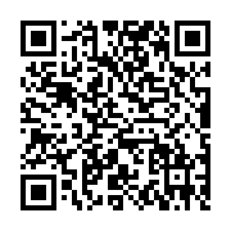 QR code for HS4-P411