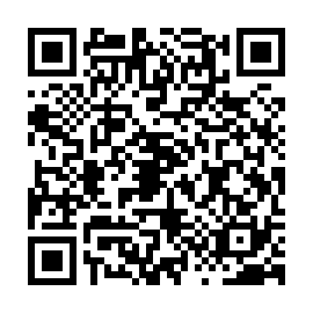 QR code for HS9-X303