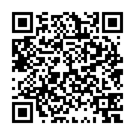 QR code for HSP-2384