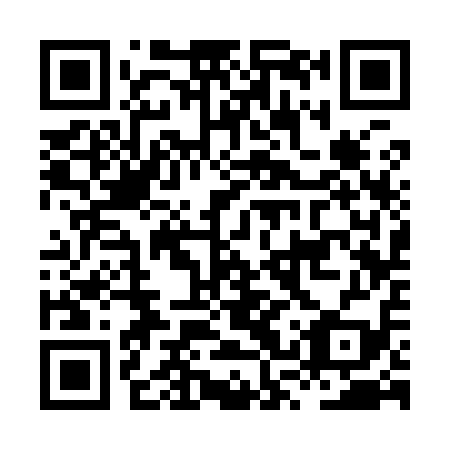 QR code for plate HSS-919