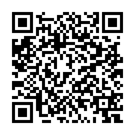 QR code for plate HT0-A208