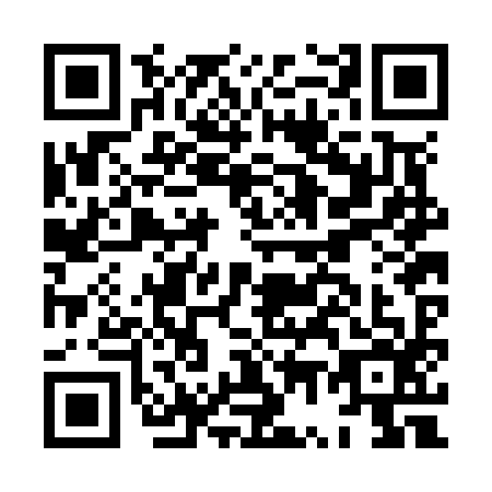 QR code for HW2-N965