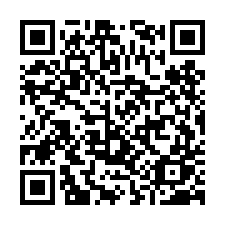 QR code for I17-DDP