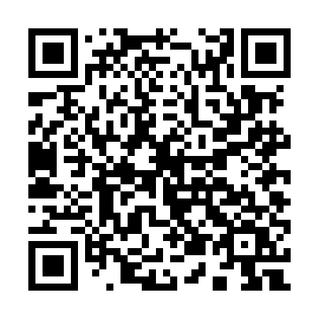 QR code for I54MEV
