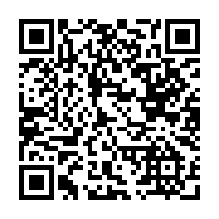 QR code for I63-IIM