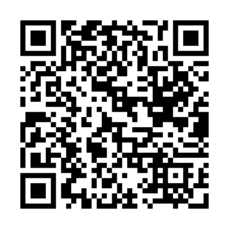 QR code for I93-SFC