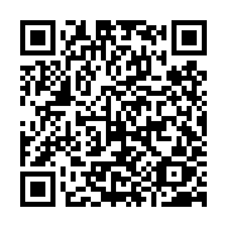 QR code for plate I96-DYZ