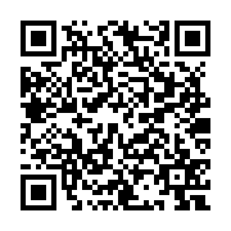 QR code for plate IB2-Z378