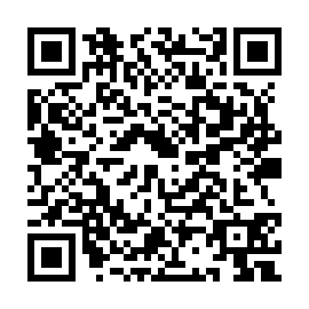 QR code for plate IB9-Z304