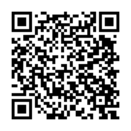 QR code for IBM-447