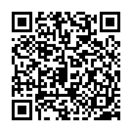 QR code for IC9Q538