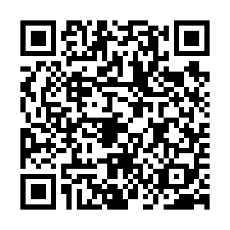 QR code for plate ICS-6597