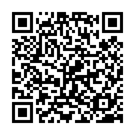 QR code for IDG435
