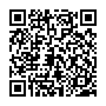 QR code for IE1-G234