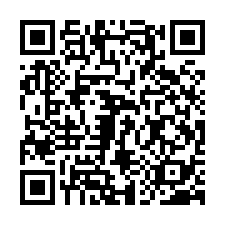 QR code for IE1-X394
