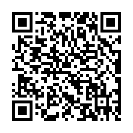 QR code for IE2-T439