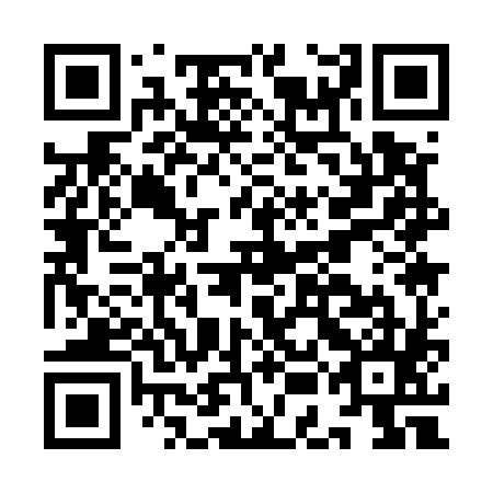 QR code for plate IEA-585