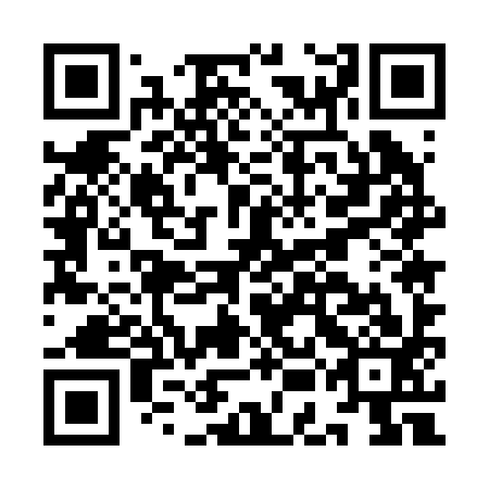 QR code for IEE293