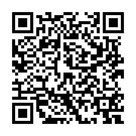 QR code for plate IF9-N505