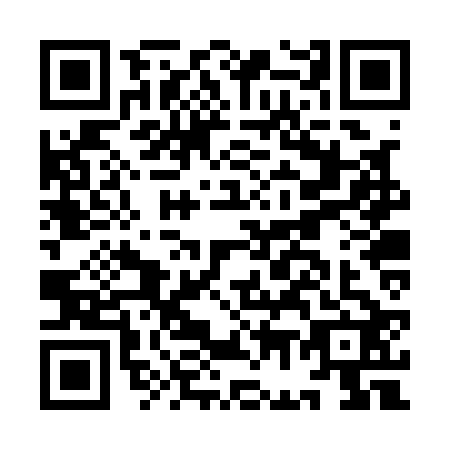 QR code for IG2-Q228