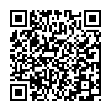QR code for IIG-9295