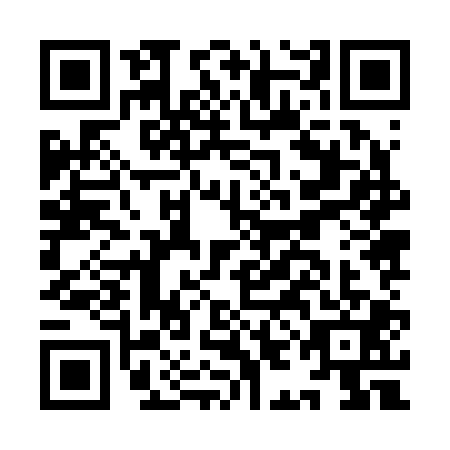 QR code for IIJ-2011