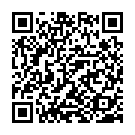 QR code for IIM-379