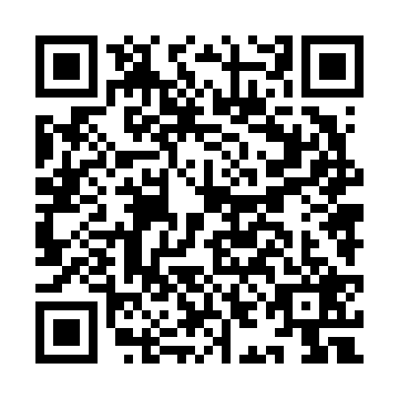 QR code for IIN-6296