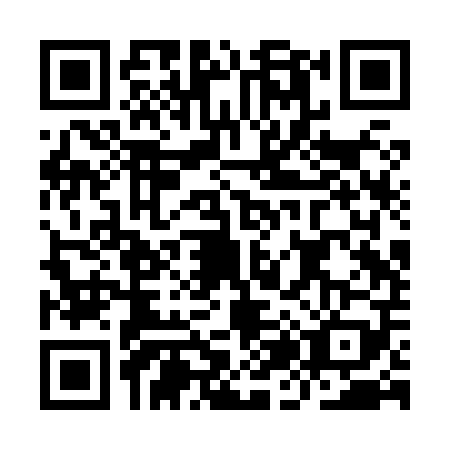 QR code for IJ2X095