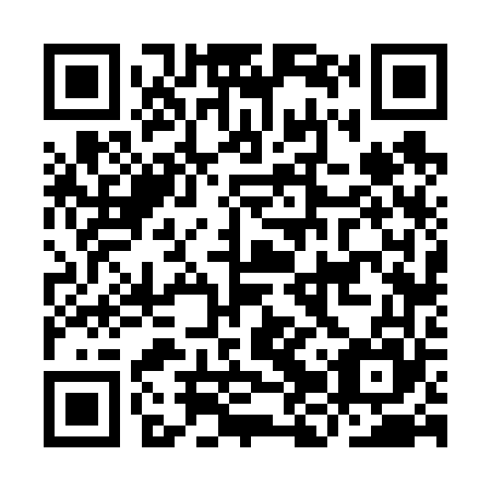 QR code for IJV665