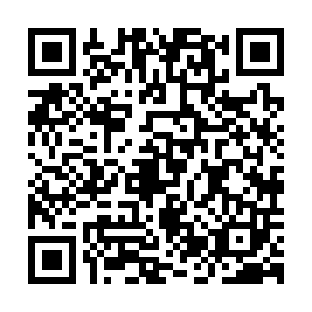 QR code for IJX-3031