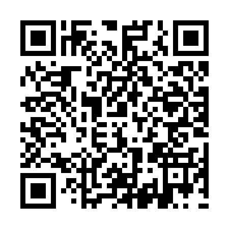 QR code for plate IK0-B376