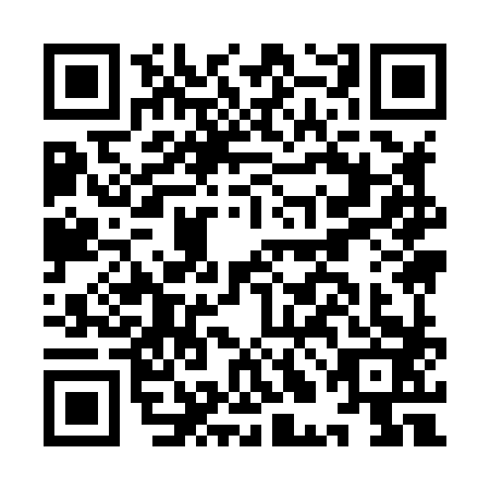 QR code for ILI-8838