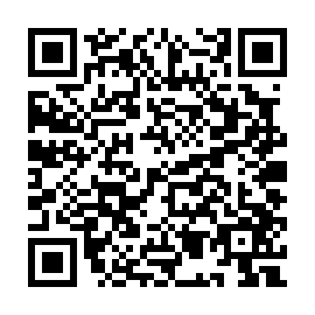 QR code for plate IM4-P463