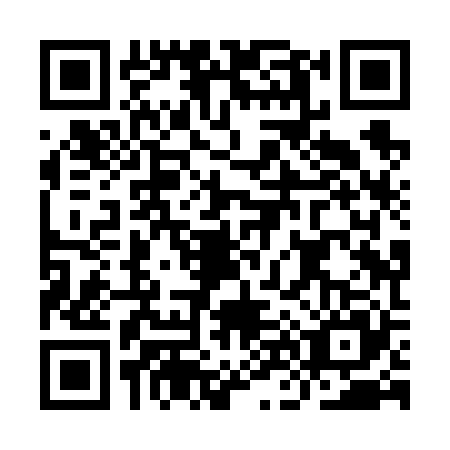 QR code for IN8V256