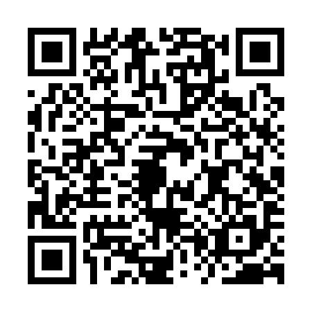 QR code for IP6Q958