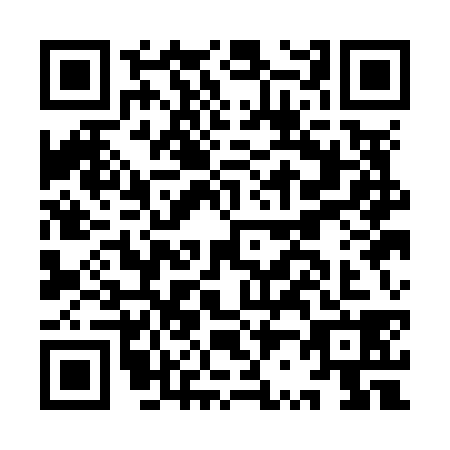 QR code for IR1N389