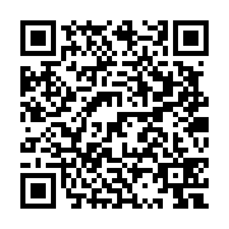QR code for IR3-T399