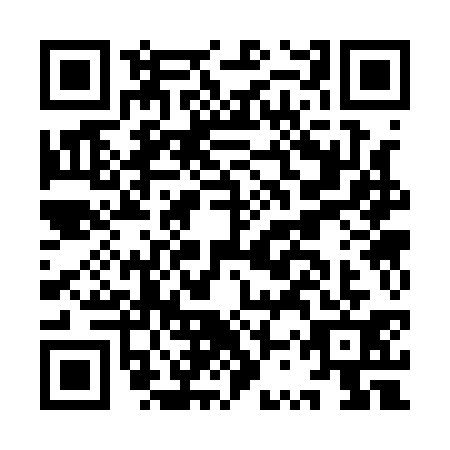 QR code for ISS-1315