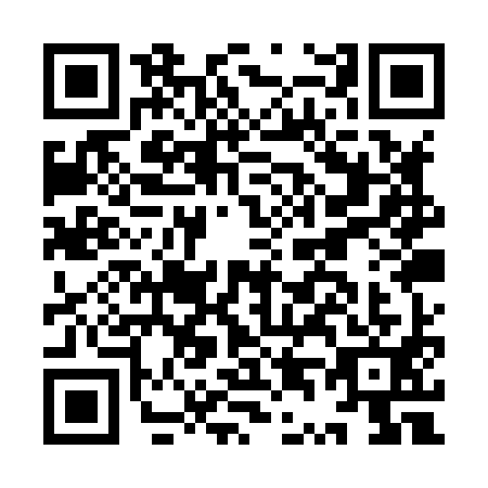 QR code for IT1-X919