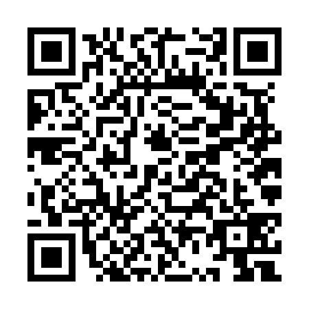 QR code for IV6N394