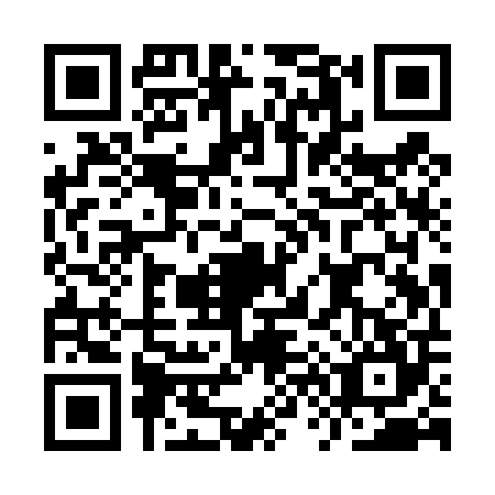 QR code for IV9-T049