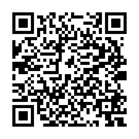 QR code for plate IV9-V486