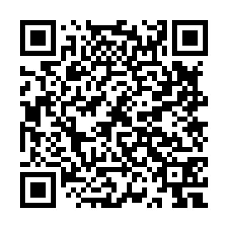 QR code for plate IVO-870