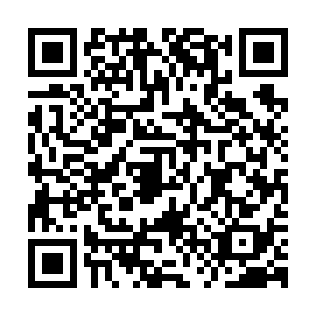 QR code for plate IVU-6382