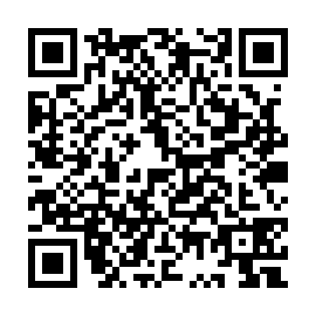 QR code for IW1-Q382