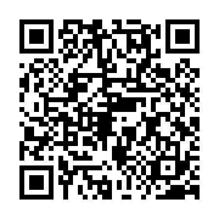 QR code for IW6-P338