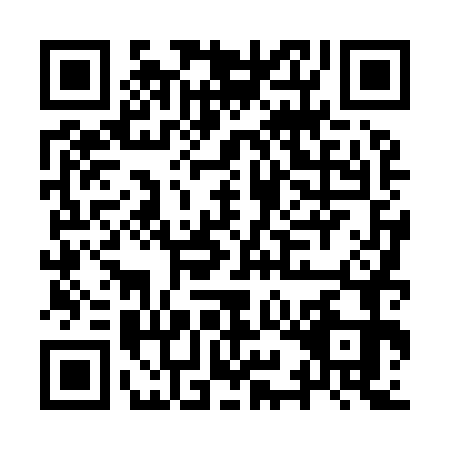 QR code for plate IYD-9733